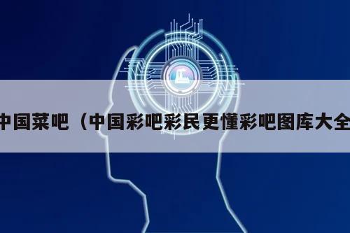 中国菜吧(中国彩吧彩民更懂彩吧图库大全)
