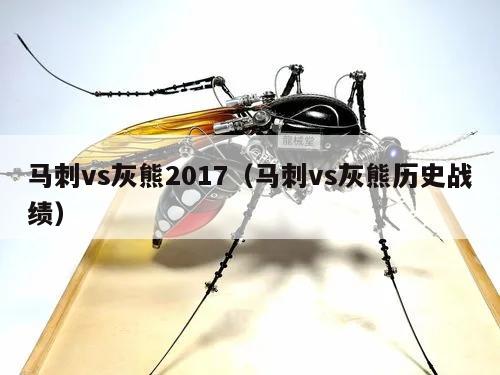 马刺vs灰熊2017(马刺vs灰熊历史战绩)