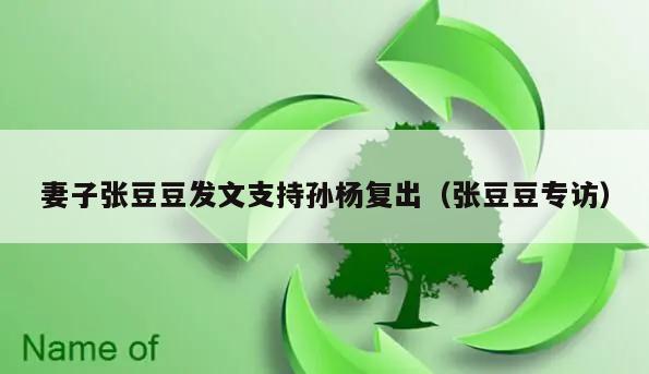 妻子张豆豆发文支持孙杨复出（张豆豆专访）