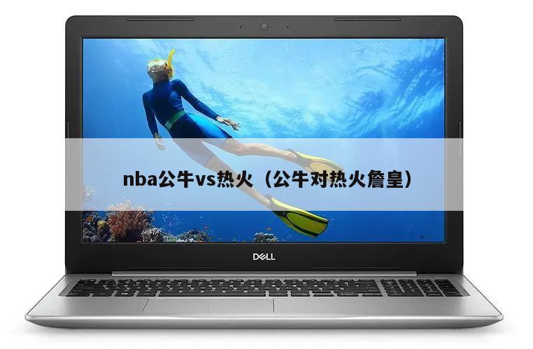 nba公牛vs热火（公牛对热火詹皇）