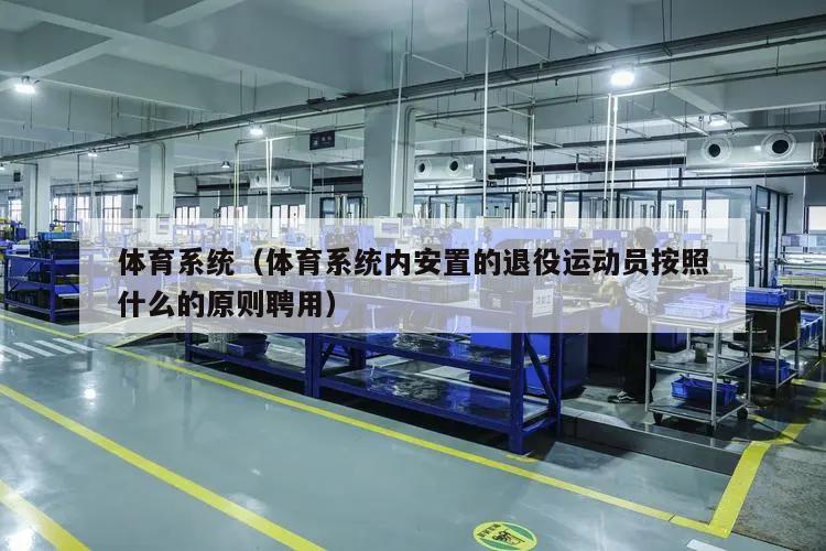 体育系统（体育系统内安置的退役运动员按照什么的原则聘用）