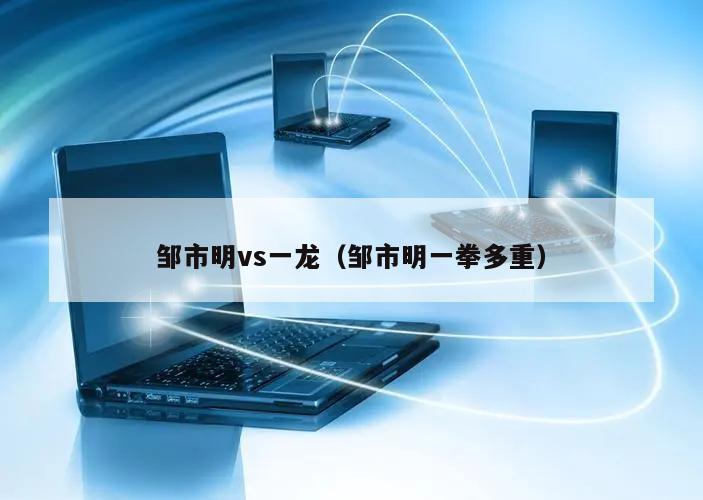 邹市明vs一龙（邹市明一拳多重）