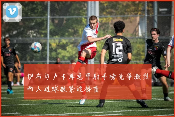 伊布与卢卡库意甲射手榜竞争激烈两人进球数紧追榜首