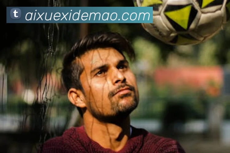 米兰平台app体育 - 官方版 - 米兰电竞直播平台生态图